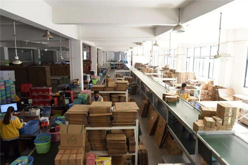 臨安工廠備戰(zhàn)雙十一 生產(chǎn)不停、分倉(cāng)不歇的緊張有序圖景